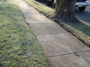 Sidewalk with tree root - After