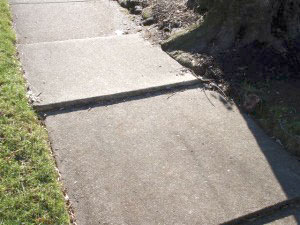 Sidewalk with tree root - Before